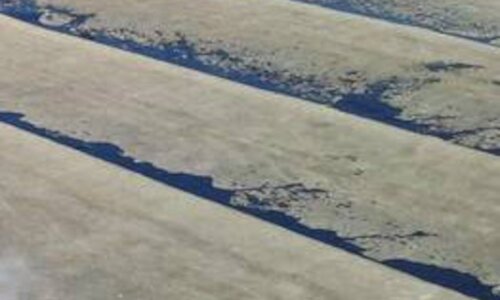 Nahaufnahme einer mit Asbest verseuchten Dachpappe in einem Asbesthaus © 2018, CRB Analyse Service GmbH | © CRB - Analyse GmbH